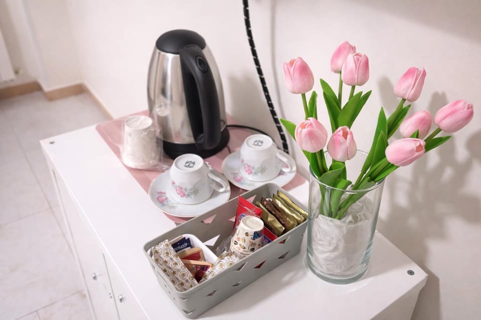 Il Tulipano Camera con bagno privato a Marcianise Bed and Breakfast in Campania