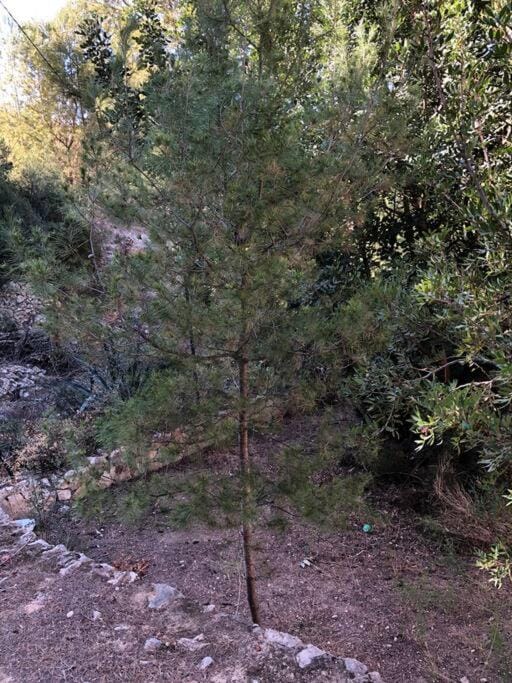 Day, Natural landscape