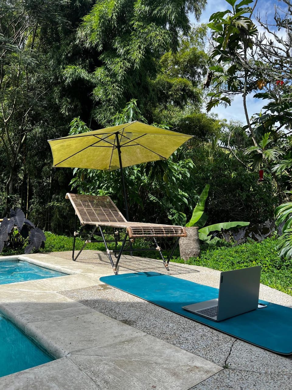 Swimming pool