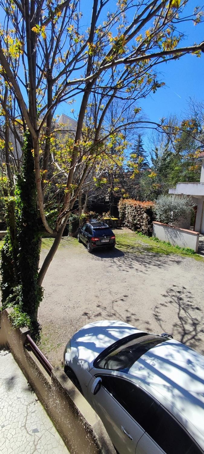 Inner courtyard view