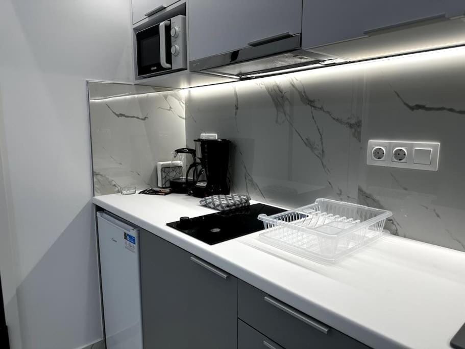 Coffee/tea facilities, Kitchen or kitchenette, minibar, stove, toaster