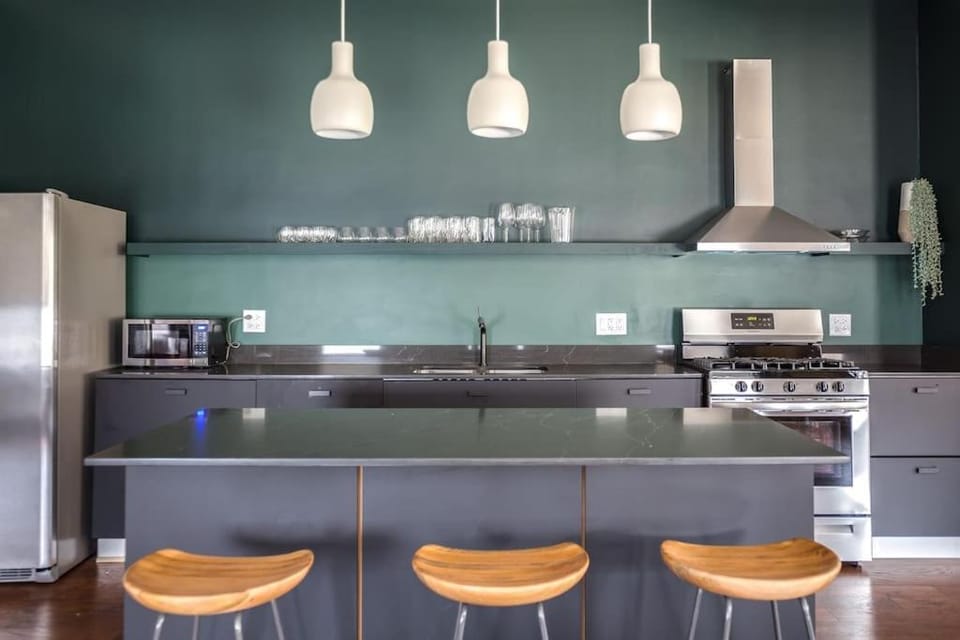 The Orleans Floor 3 Private rooftop deck Apartment in Chicago