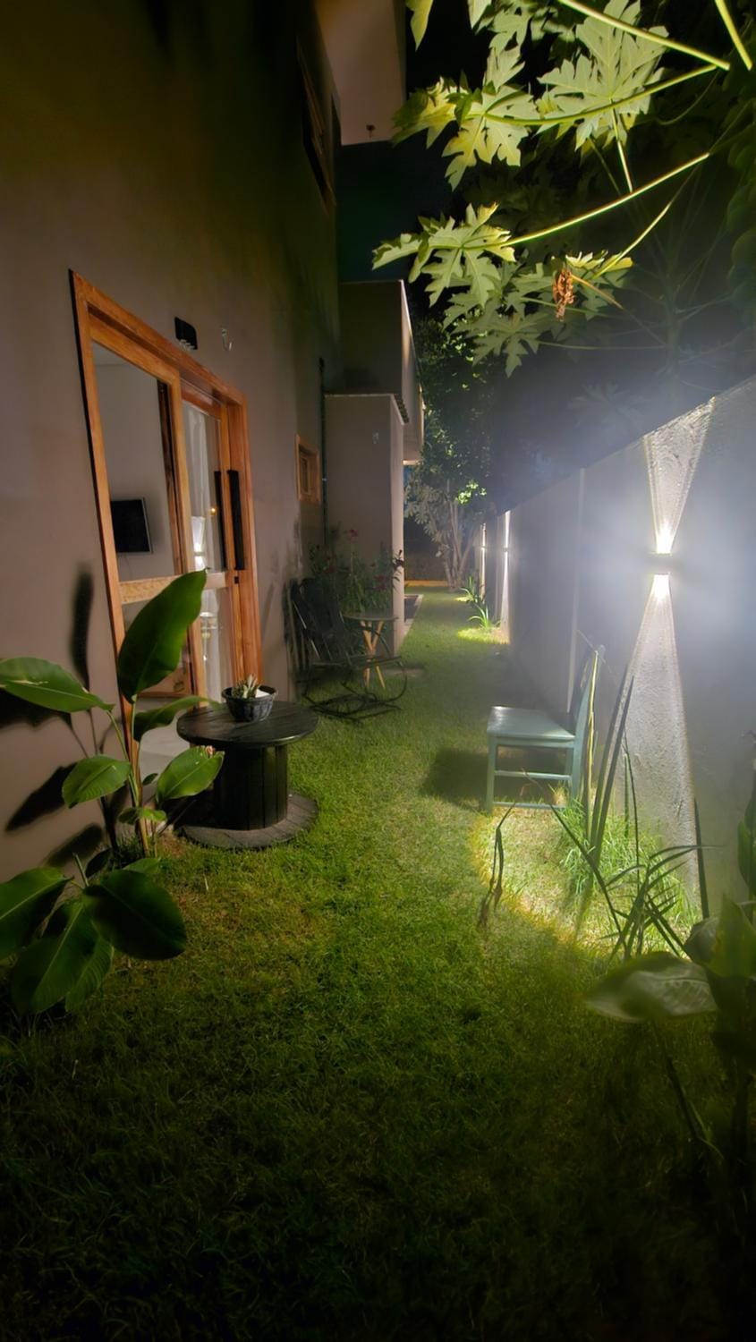 Night, Garden, Garden view