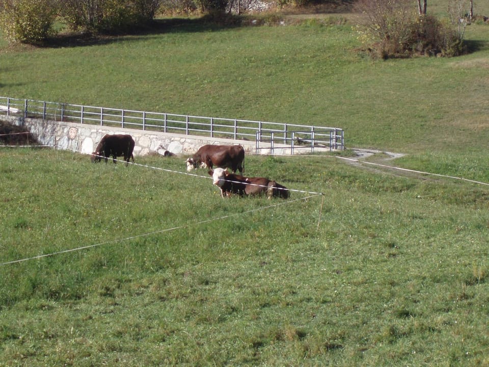 Agriturismo Plan d'Avie Farm Stay in Aosta