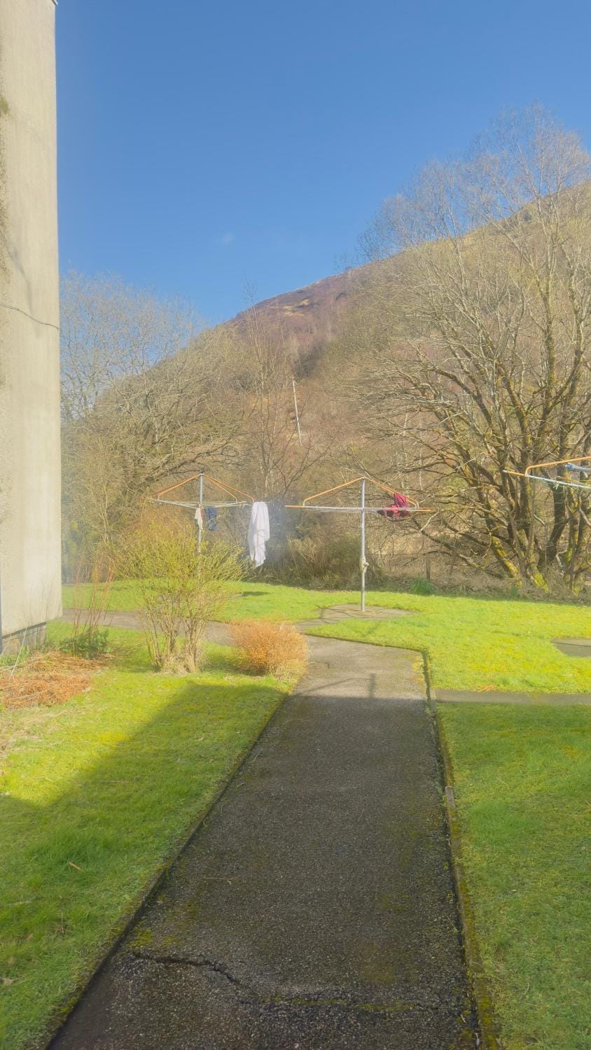 Neighbourhood, Natural landscape, Garden