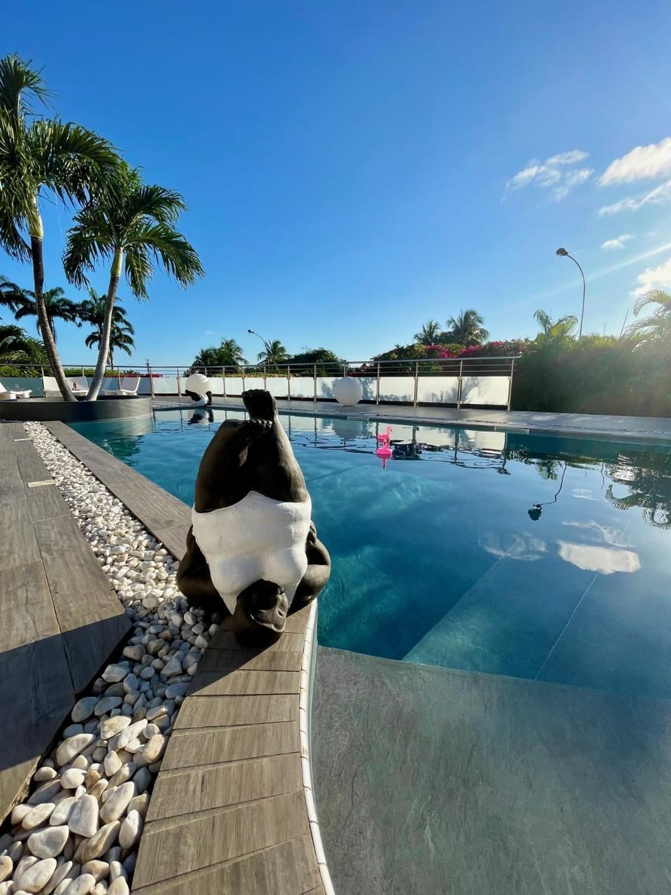Swimming pool