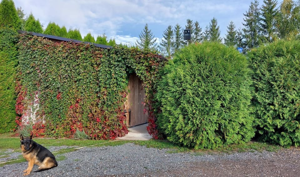 Viesumāja Kuncīši Murjāņos Bed and Breakfast in Latvia