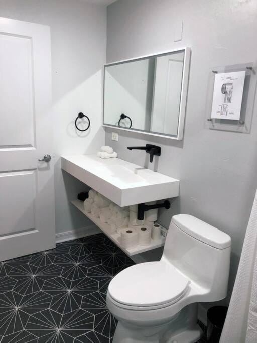 1BR/1Bath Downtown - Newly Renovated Premier Apt. Apartment in Gainesville