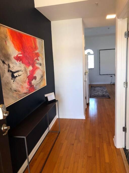 1BR/1Bath Downtown - Newly Renovated Premier Apt. Apartment in Gainesville