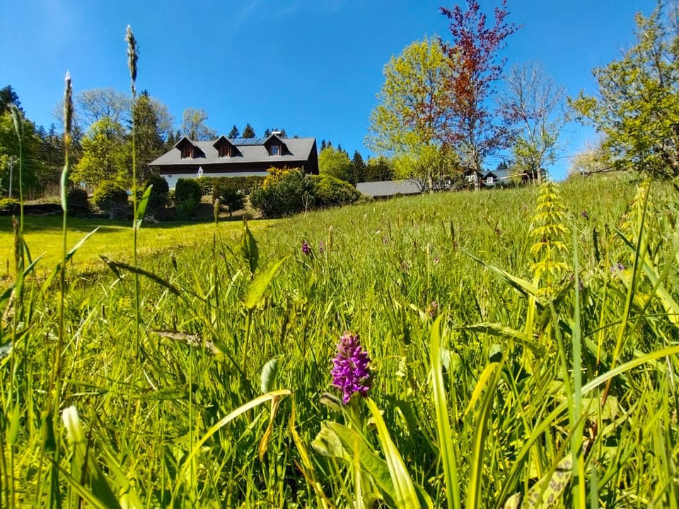 Penzion Medvídek Bed and Breakfast in Lower Silesian Voivodeship