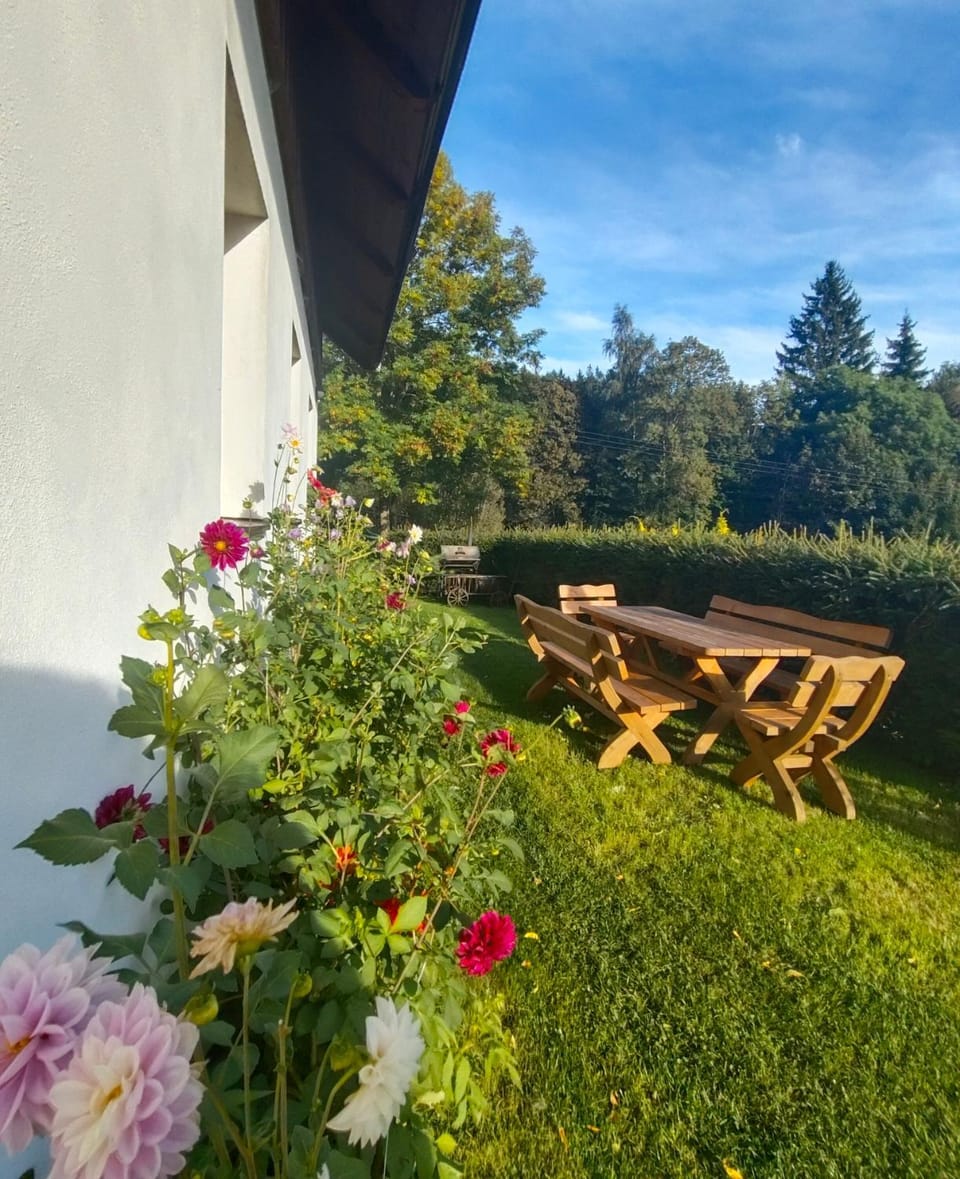 Penzion Medvídek Bed and Breakfast in Lower Silesian Voivodeship