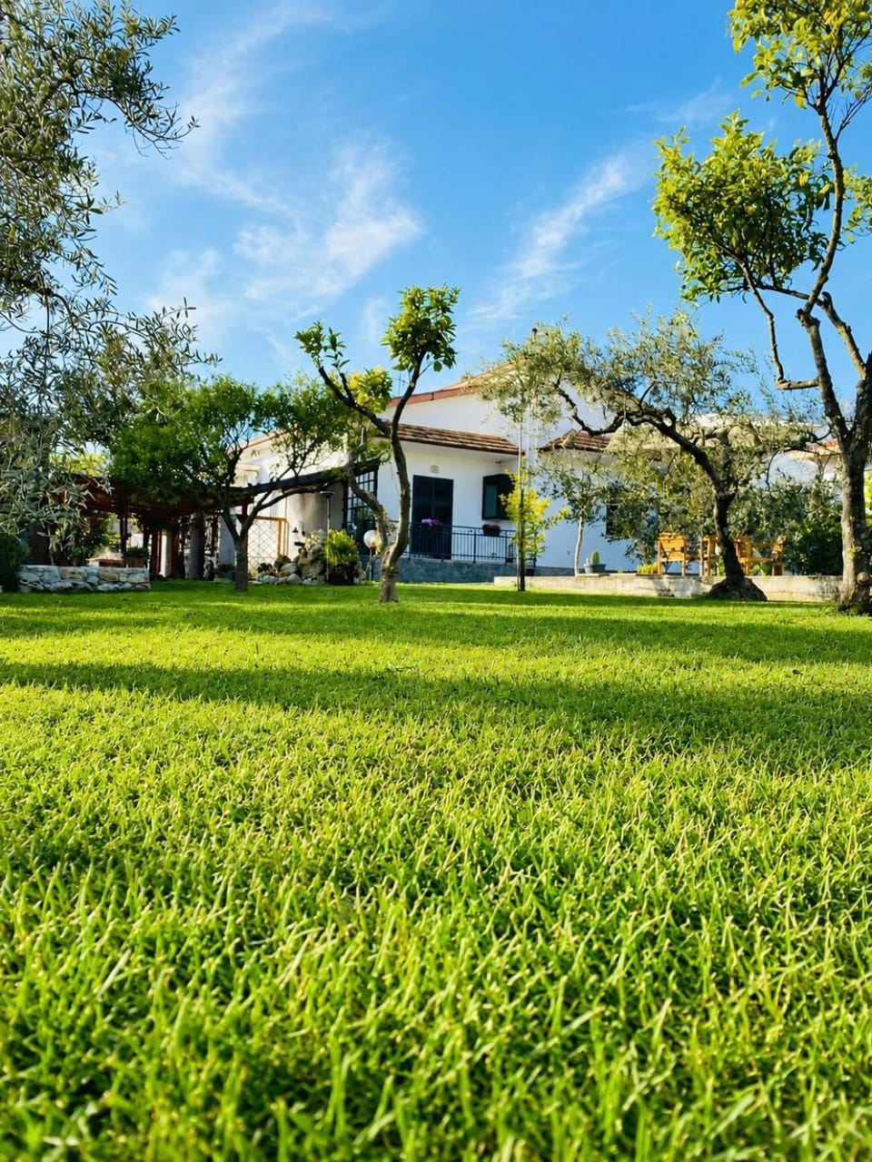 Property building, Natural landscape, Garden, Garden view