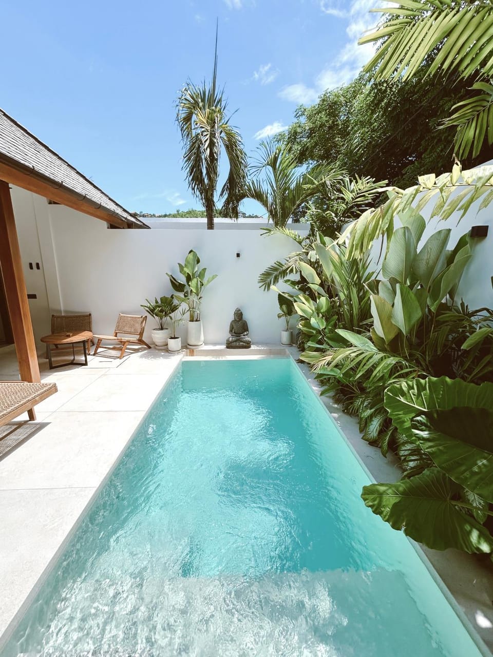 Day, Garden, Swimming pool, Swimming pool