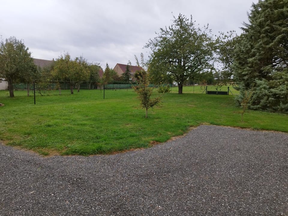 Natural landscape, Garden view