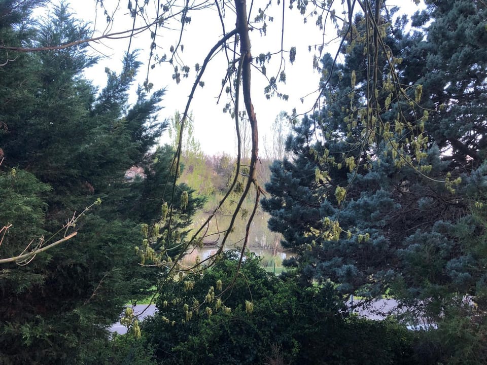 Natural landscape