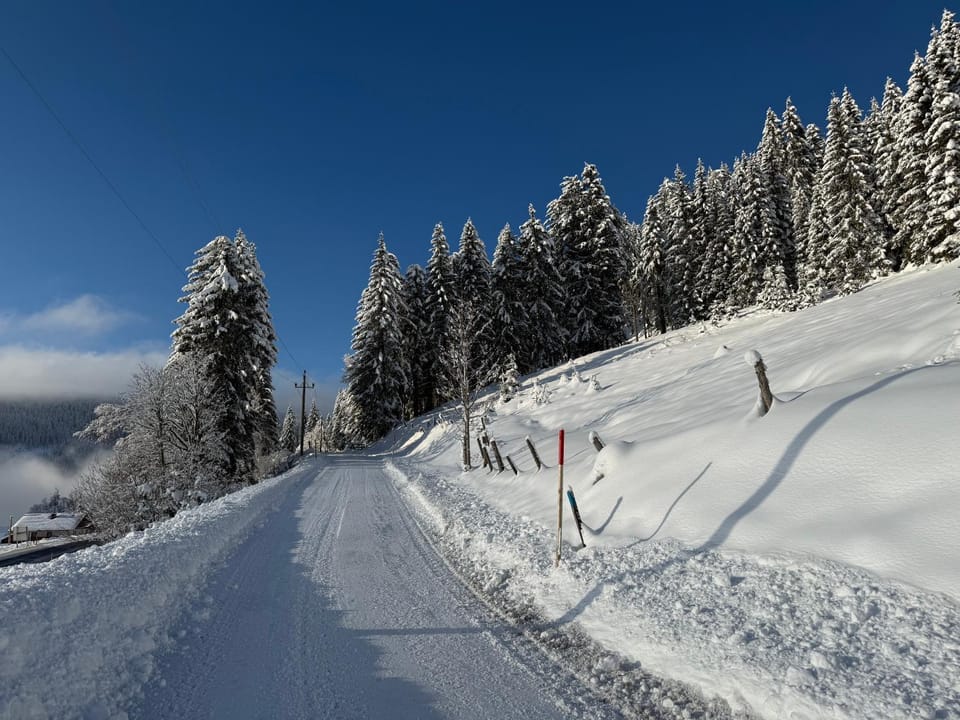 Natural landscape