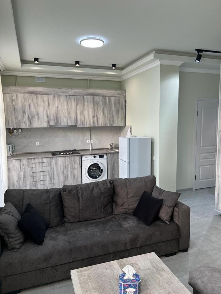 Modern Apartment Apartment in Yerevan