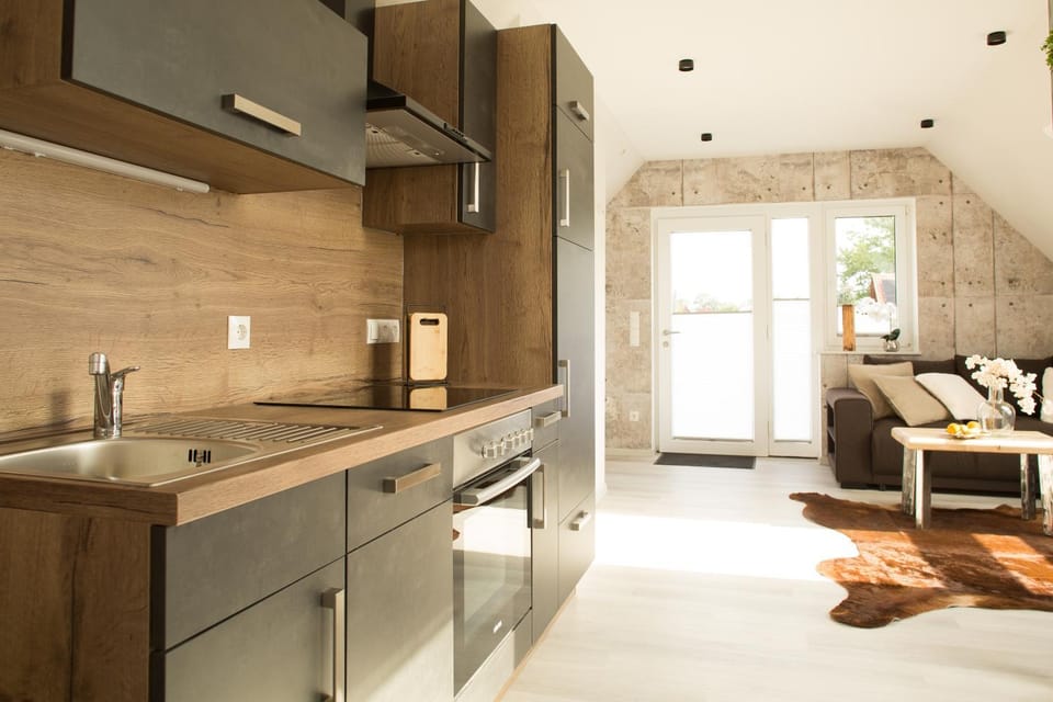Kitchen or kitchenette, dishwasher, minibar, oven, pet friendly, stove