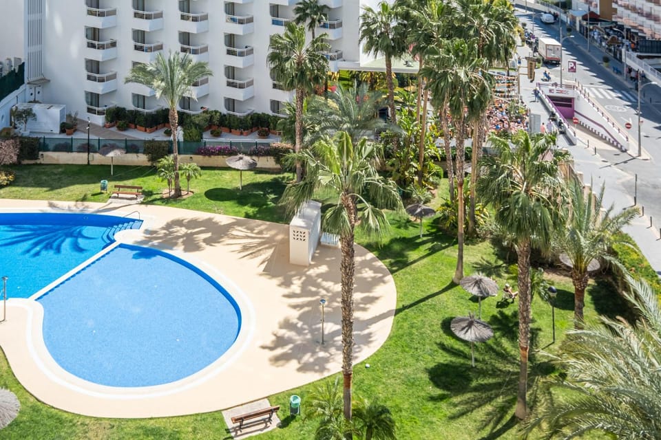 Day, Garden, Garden view, Pool view, Swimming pool, Location