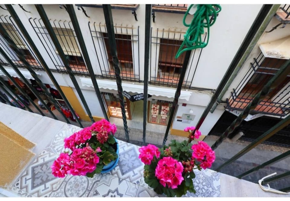 Balcony/Terrace, Street view