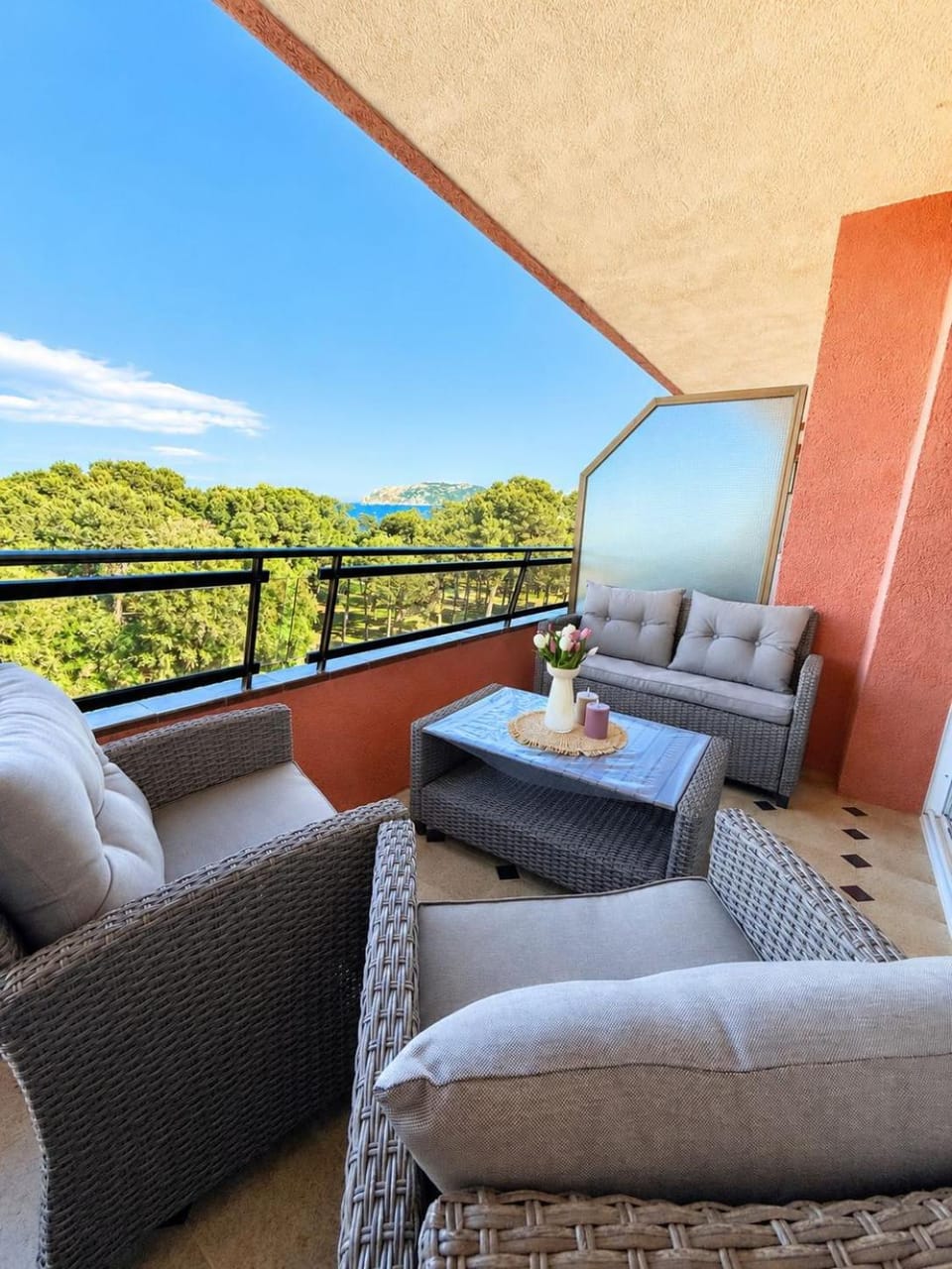 Balcony/Terrace