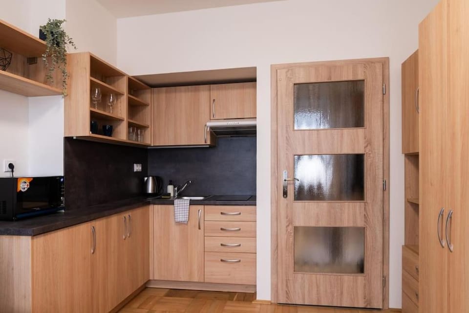 Studio apartment in Brno-center Apartment in Brno