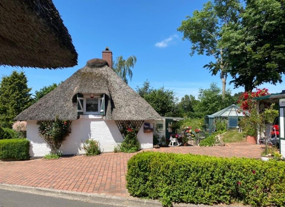 Property building, Day, Garden, Location