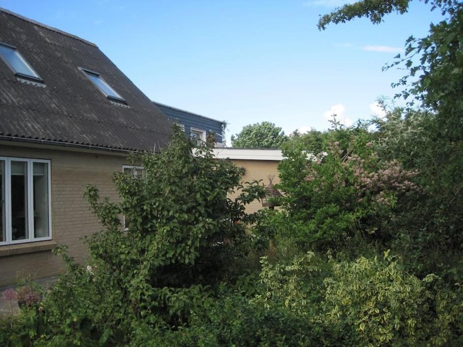 Vesløs - Hus med udsigt Villa in Denmark