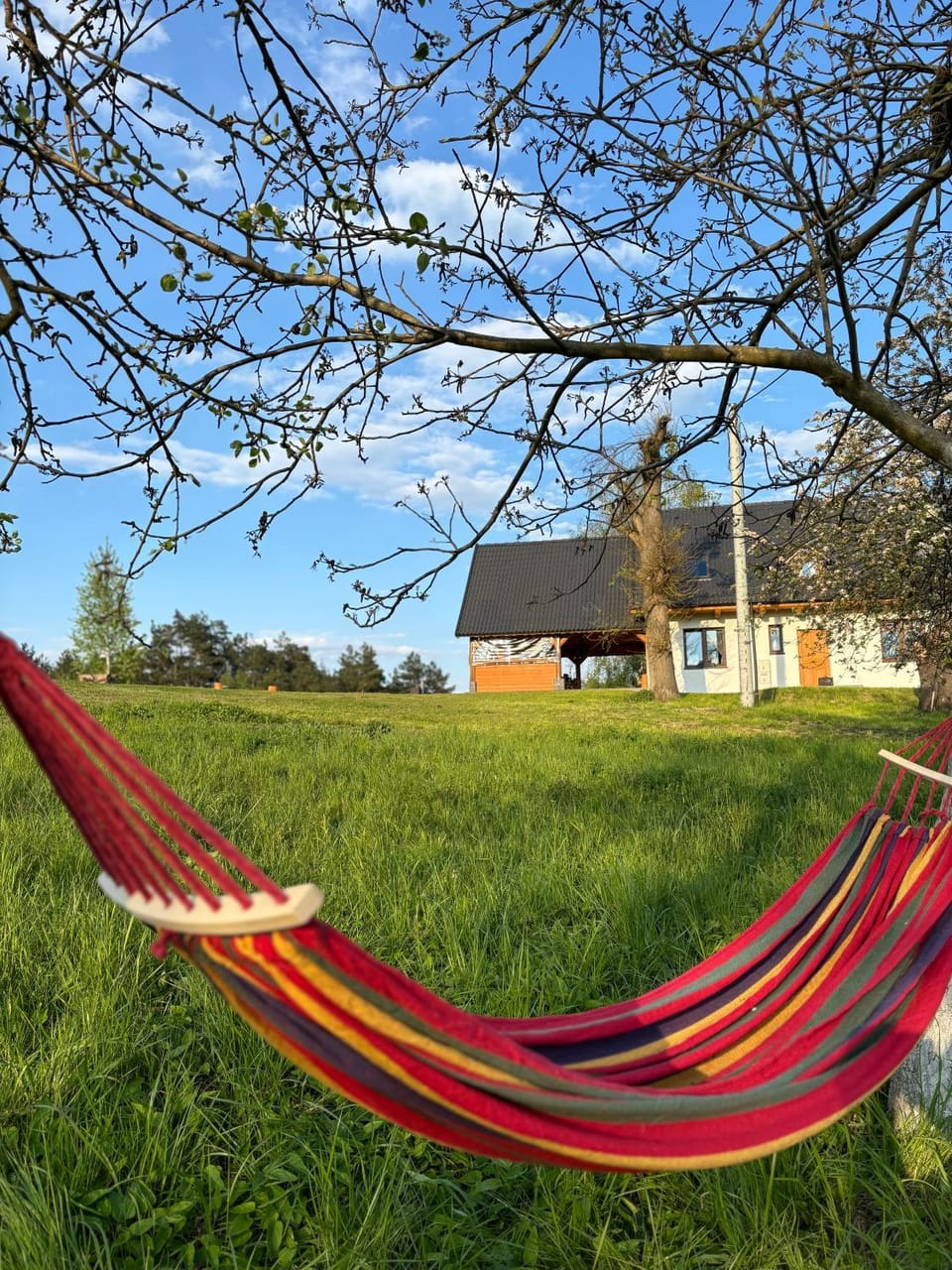 Spring, Day, Natural landscape, Garden, Garden view