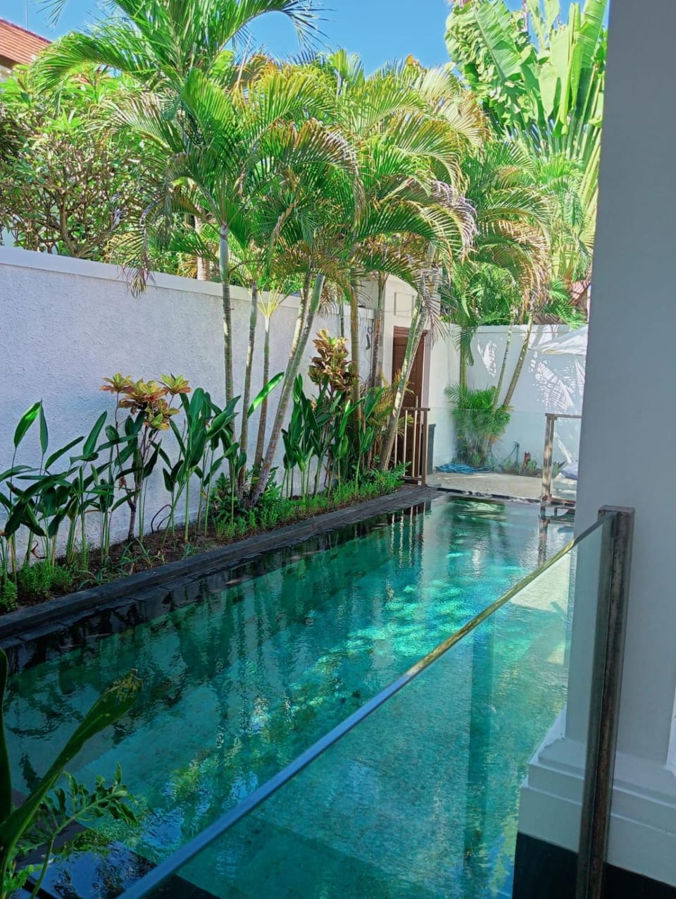 Pool view, Swimming pool