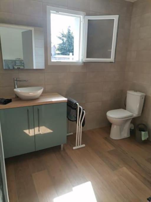 Toilet, Bathroom