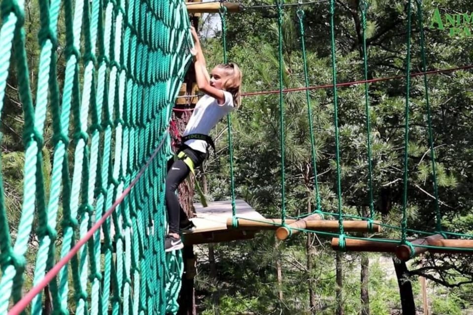 Activities