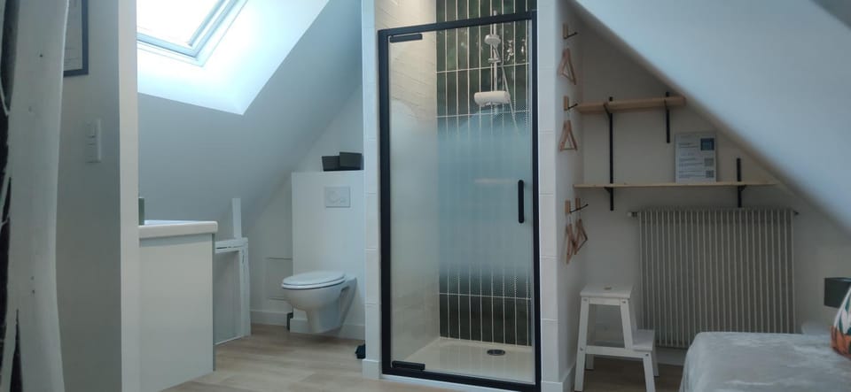 Shower, Toilet