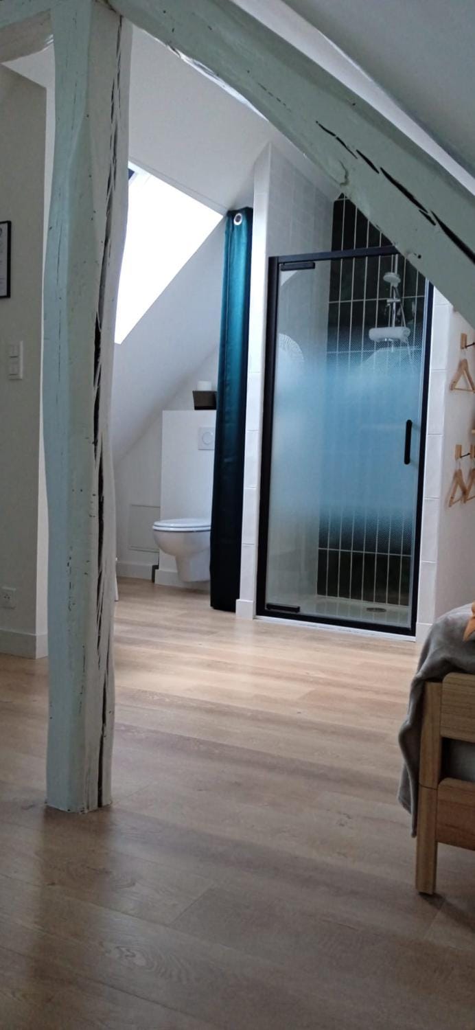 Shower, Toilet