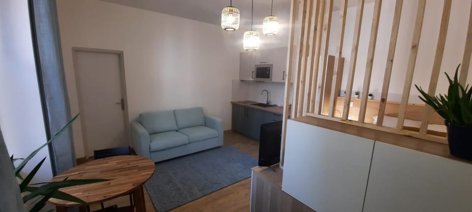 Maison Auguste R. Apartment in Avignon