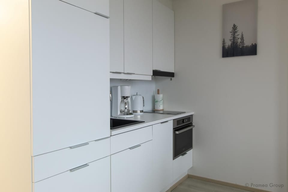 Kitchen or kitchenette, dishwasher, minibar, pet friendly, stove