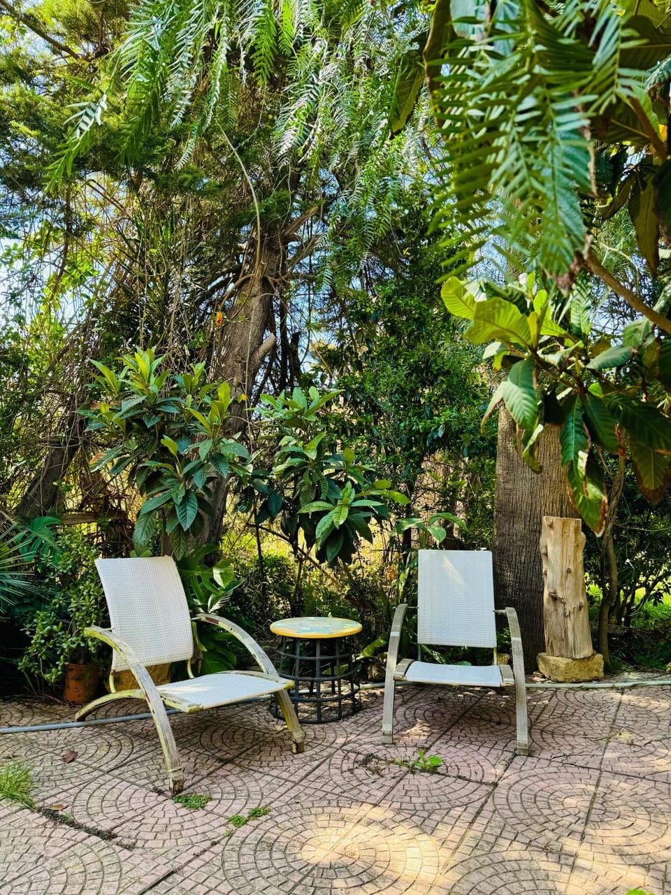 Artist House Apartment in Agrigento