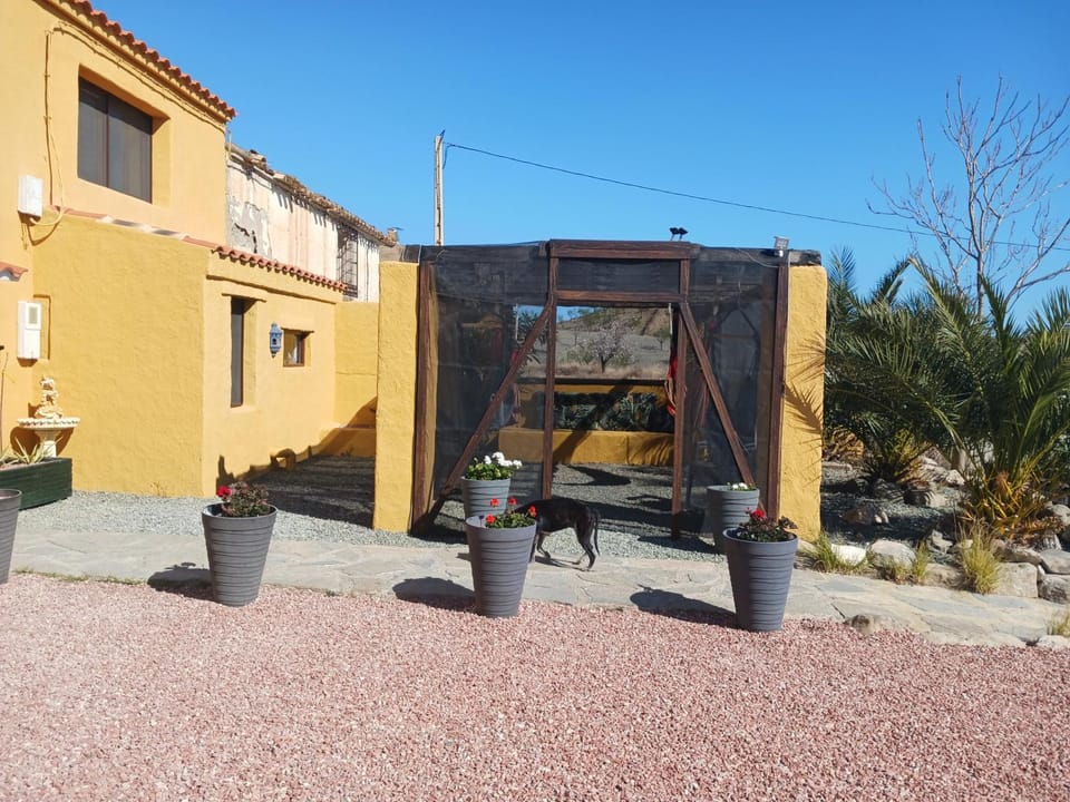 Property building, Garden, Garden