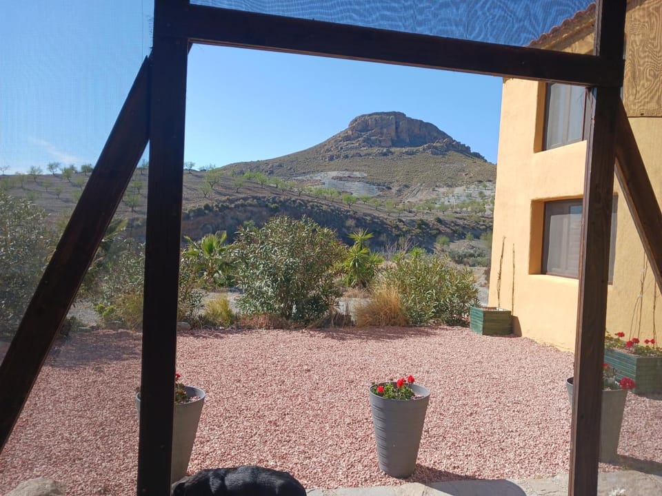 Natural landscape, Garden, Mountain view