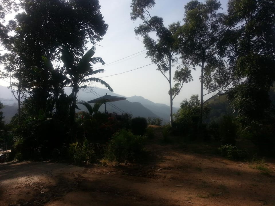 Mountain view