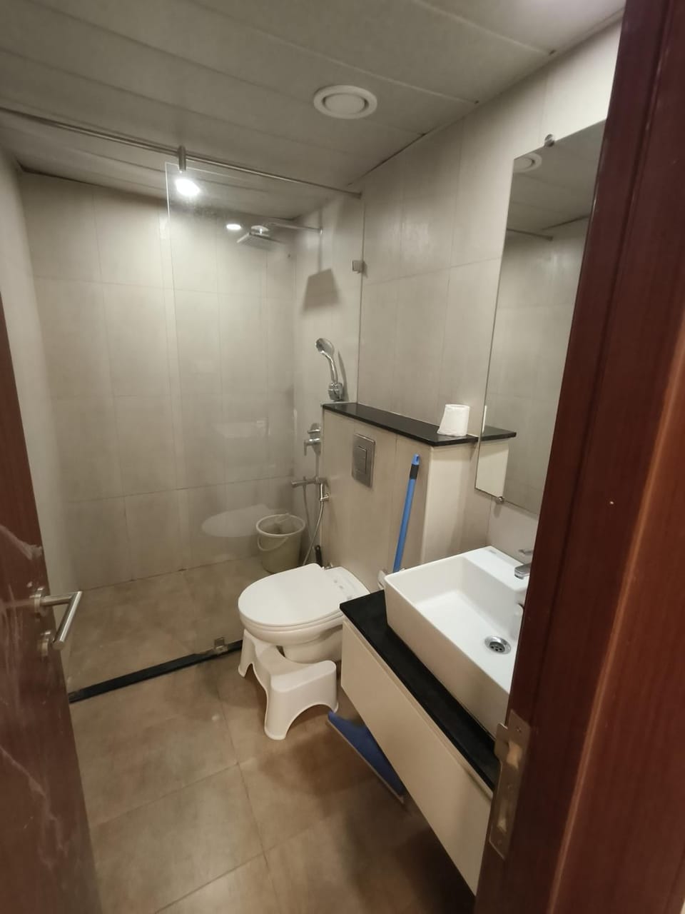 1 BHK apartment Apartment in Bengaluru