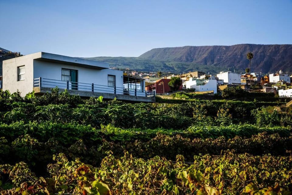 Finca Marañuela Apartment in Orotava Valley