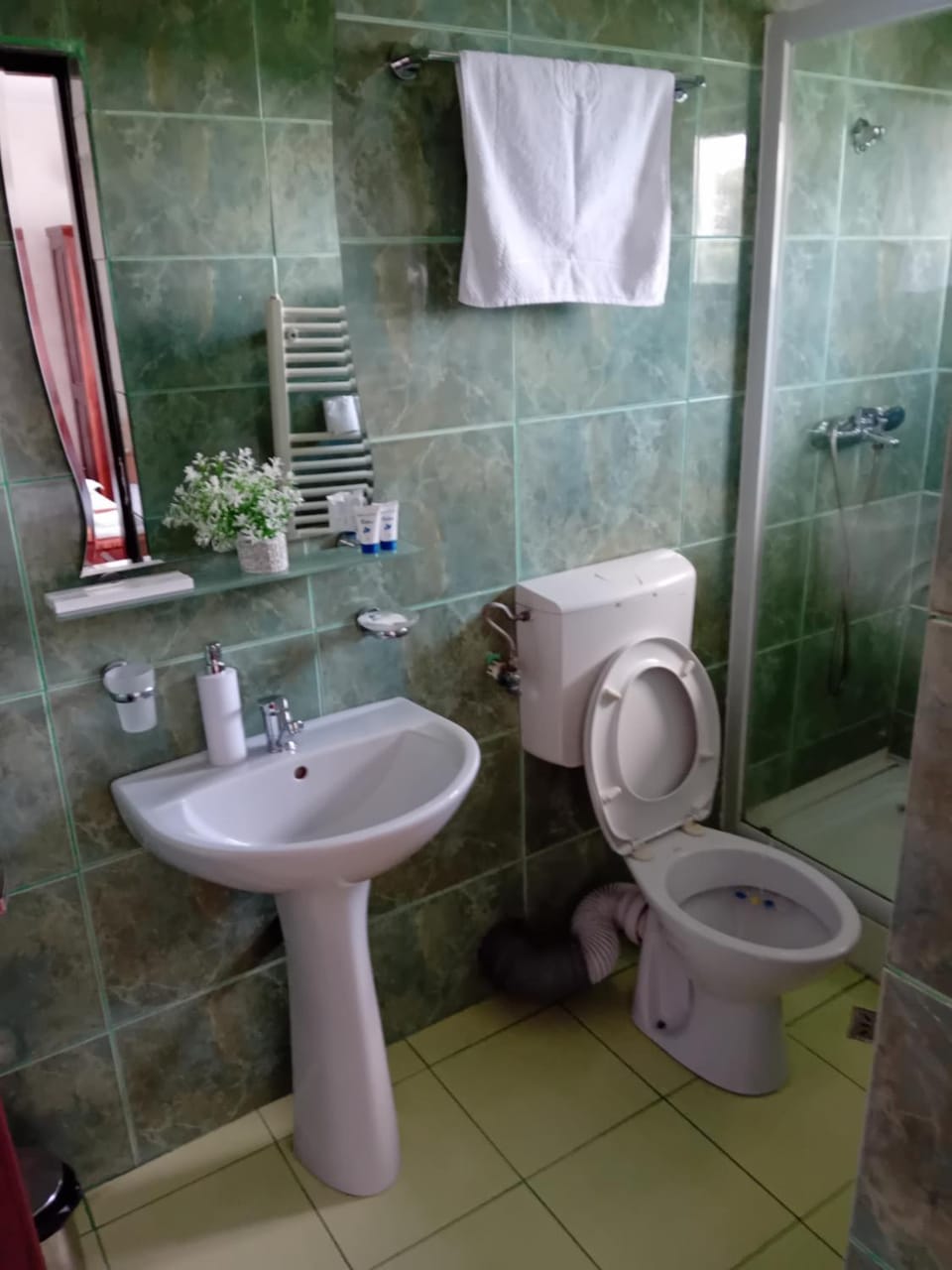 Pensiunea Rusticanna Rinca Bed and Breakfast in Romania