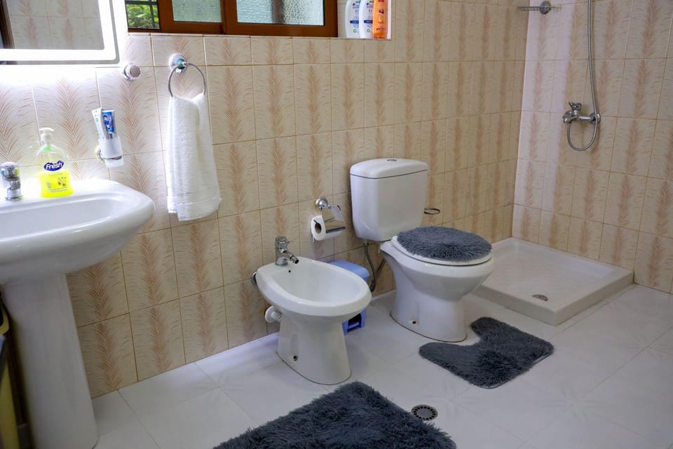 Shower, Toilet, Bathroom, Bath, bidet, towels