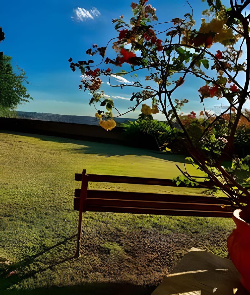 Property building, Spring, Day, Garden