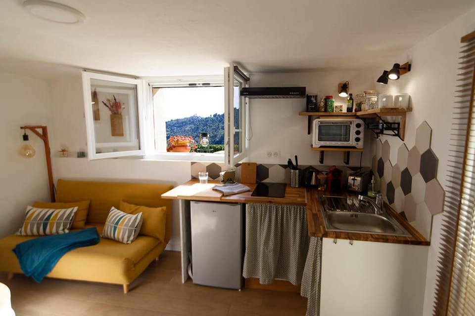 charmant 2 pièces vue Saint Paul de Vence 1 chambre Apartment in Saint Paul de Vence