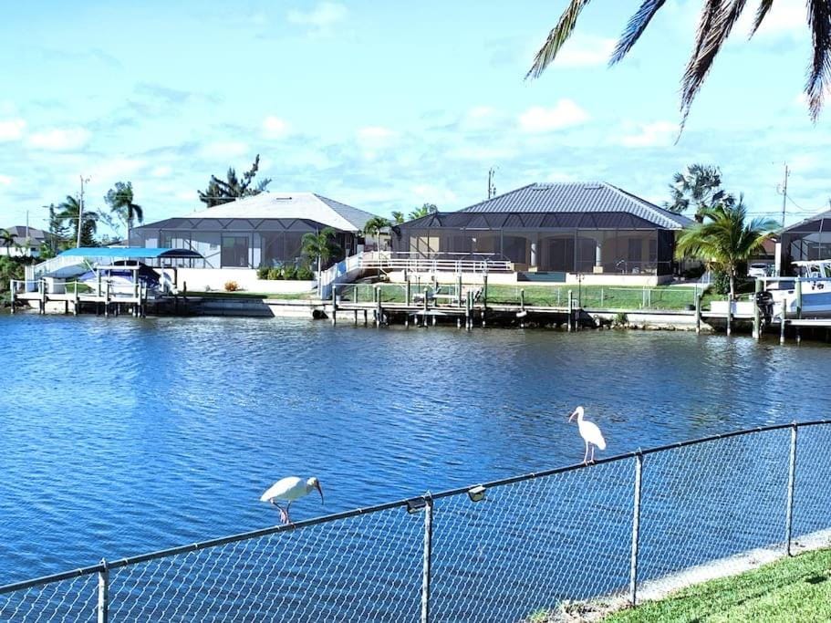 Relax with nature in our Waterfront 4 bedroom -HEATED POOL HOME-KING BED Villa in Cape Coral