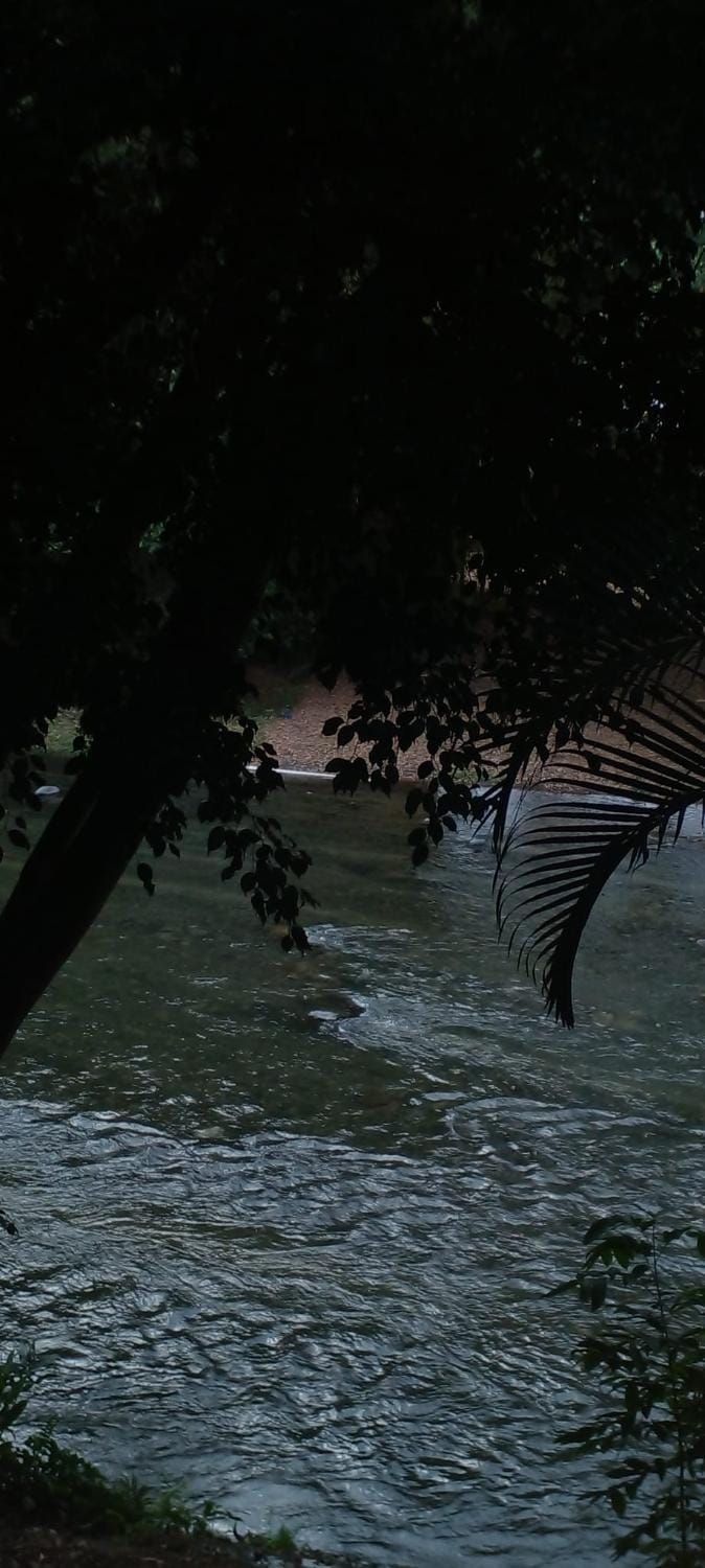 River view