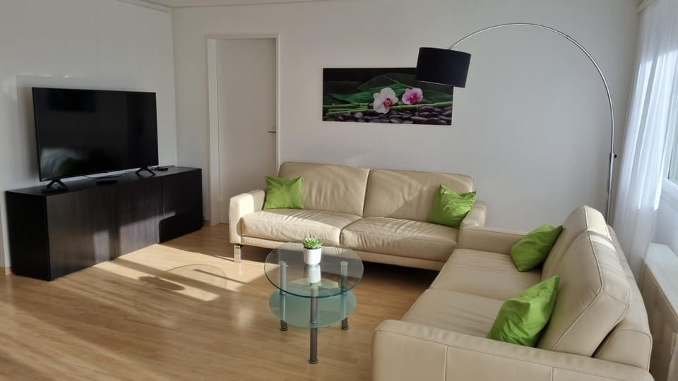 Communal lounge/ TV room, Living room, Seating area