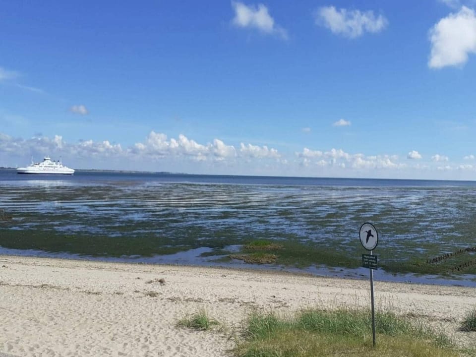 Lake view